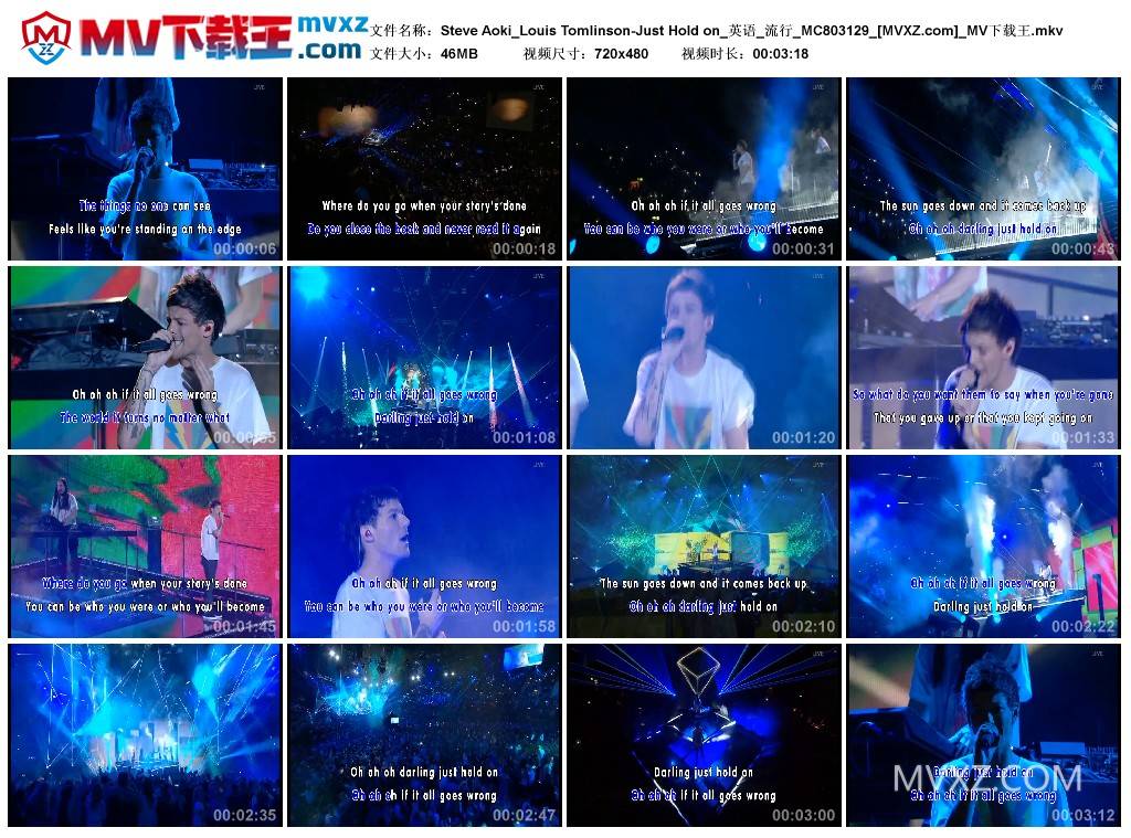 Steve Aoki_Louis Tomlinson-Just Hold on_英语_流行_MC803129